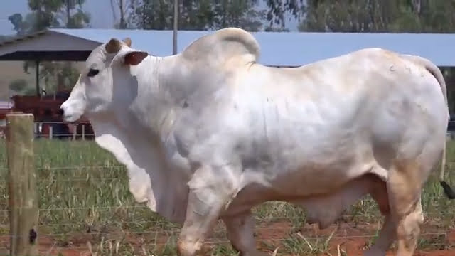 VS--YouTube-LOTE09S202431-0’02”