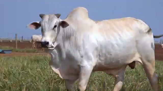 VS--YouTube-LOTE10S202601-0’02”