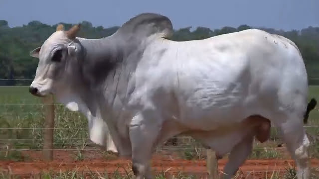 VS--YouTube-LOTE17B201431-0’05”