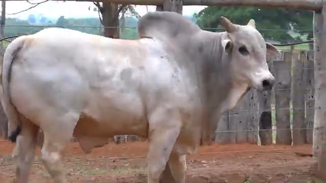 VS--YouTube-LOTE20B202361-0’30”