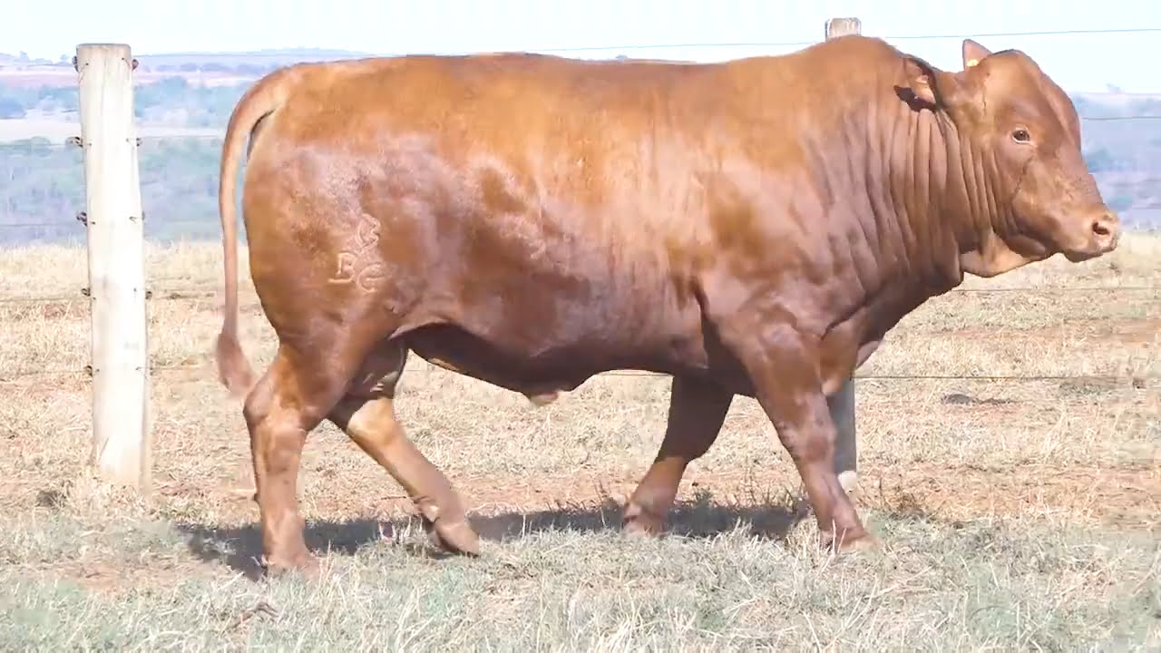 VS--YouTube-LOTE32-BBG2180-0’48”