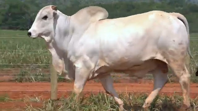 VS--YouTube-LOTE32S201281-0’02”