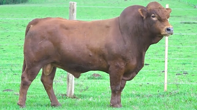 VS--YouTube-LOTE34-NAS0586-0’03”