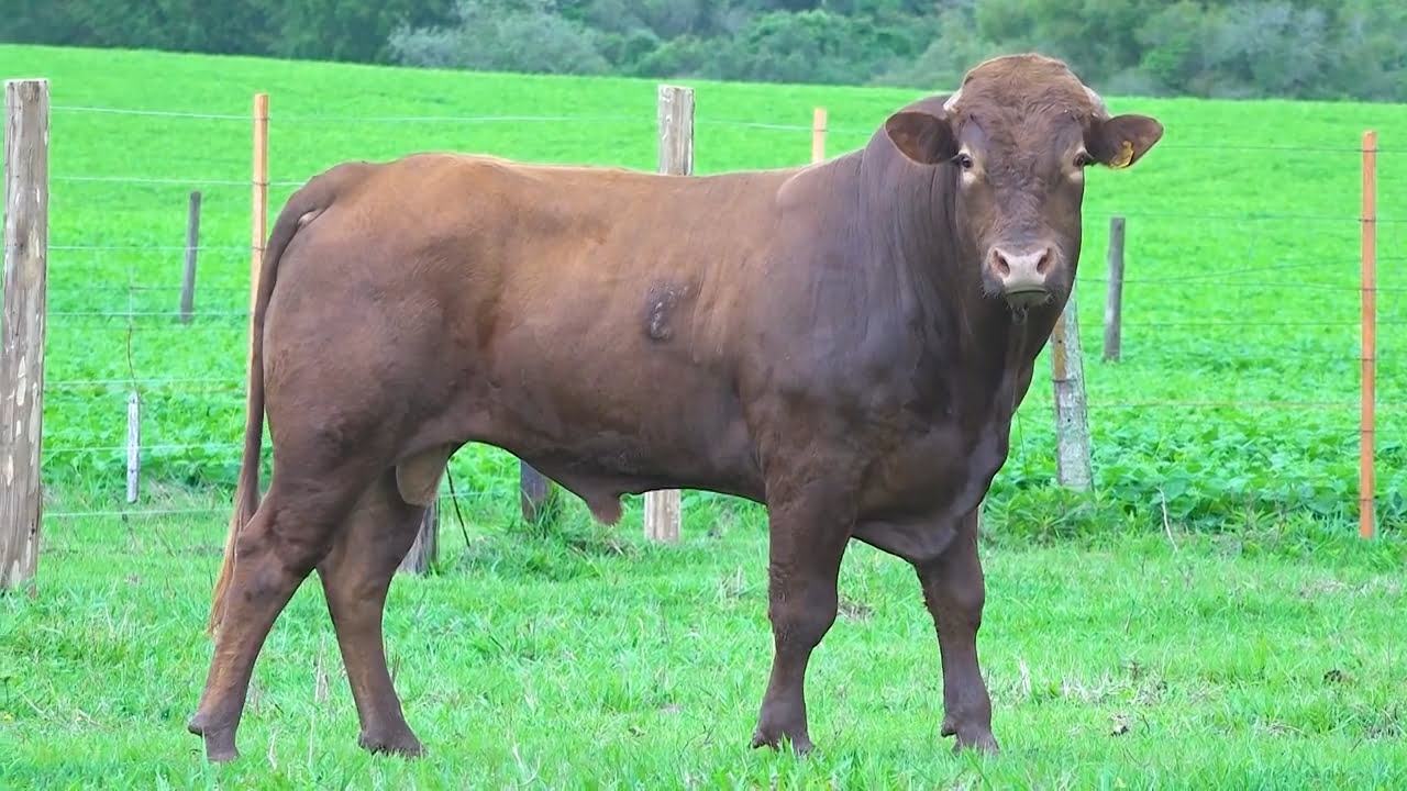 VS--YouTube-LOTE38-NAS0620-0’04”