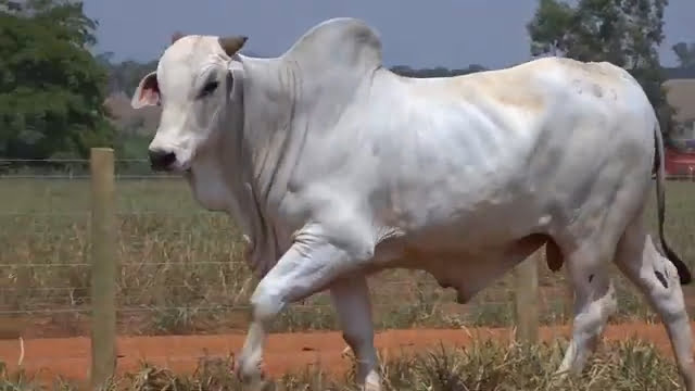 VS--YouTube-LOTE39S205011-0’02”