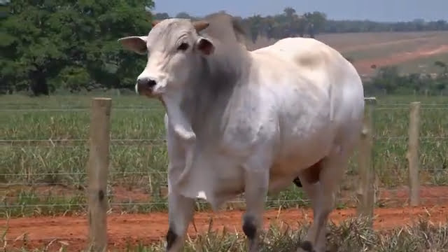 VS--YouTube-LOTE43B201001-0’02”