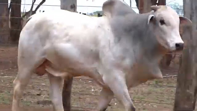 VS--YouTube-LOTE45B202421-0’04”