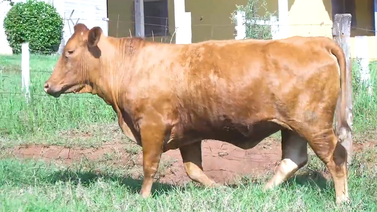 VS--YouTube-LOTE46-CPN050-0’10”