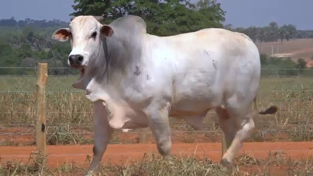 VS--YouTube-LOTE51S203271-0’00”