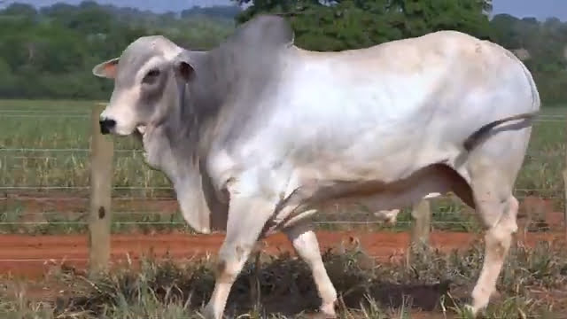 VS--YouTube-LOTE61B202741-0’02”