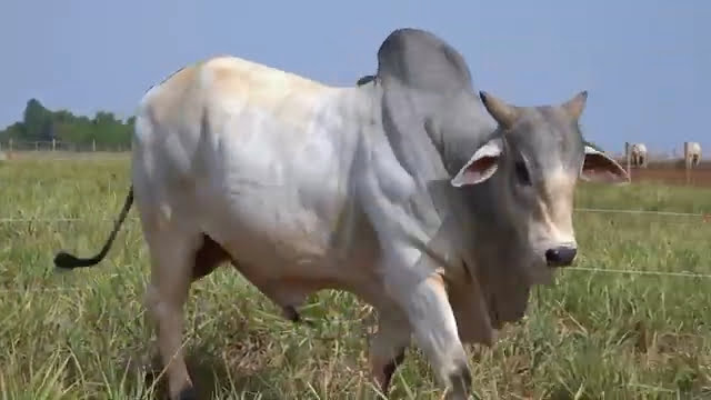 VS--YouTube-LOTE66B205021-0’02”