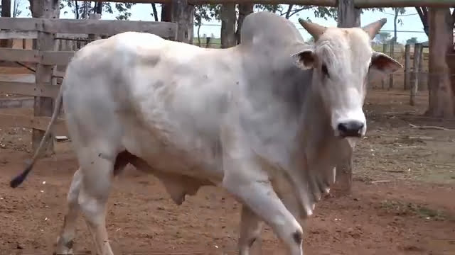 VS--YouTube-LOTE68S200471-0’05”