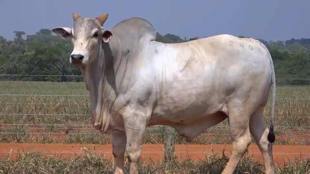 VS--YouTube-LOTE69S202401-0’03”