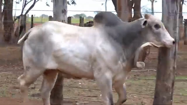 VS--YouTube-LOTE70S203591-0’05”