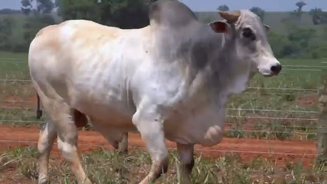 VS--YouTube-LOTE71S204621-0’02”