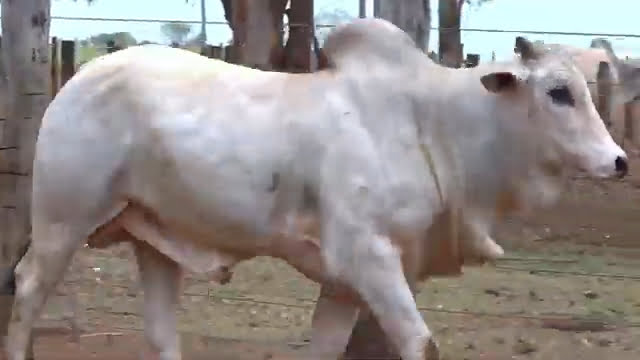 VS--YouTube-LOTE74S205391-0’29”