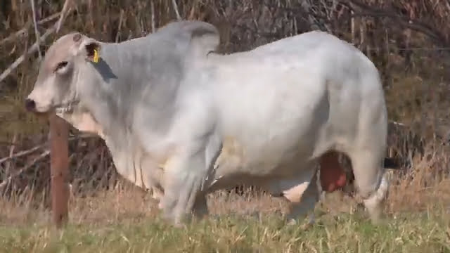 VS--YouTube-lote011191080p-0’01”