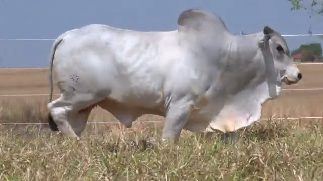 VS--YouTube-lote033771080p-0’28”