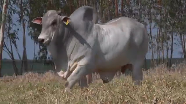 VS--YouTube-lote111631080p-0’04”