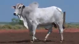 VS--YouTube-lote140191080p-0’04”