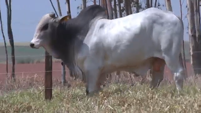 VS--YouTube-lote174651080p-0’00”