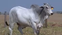 VS--YouTube-lote180861080p-0’01”