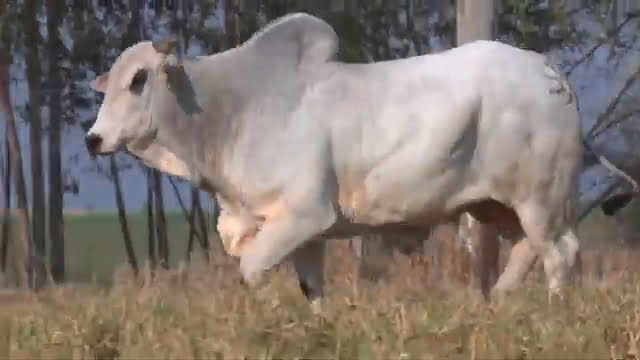 VS--YouTube-lote300341080p-0’02”