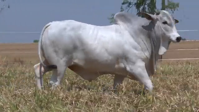 VS--YouTube-lote393501080p-0’03”