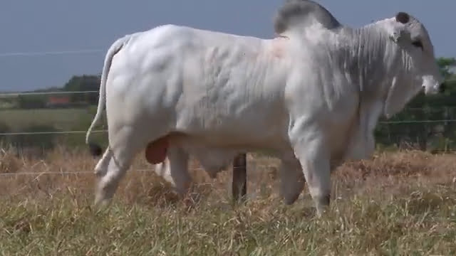 VS--YouTube-lote461571080p-0’01”