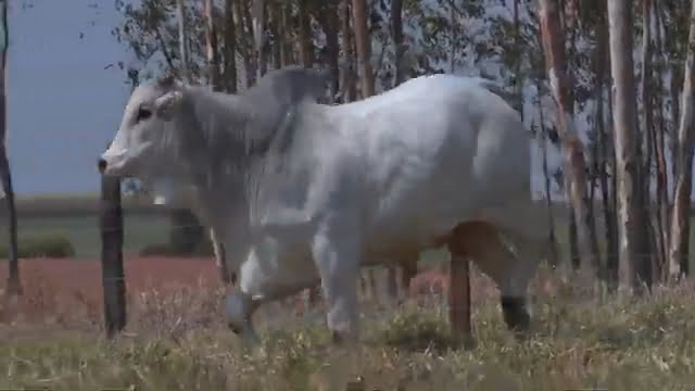 VS--YouTube-lote473201080p-0’13”