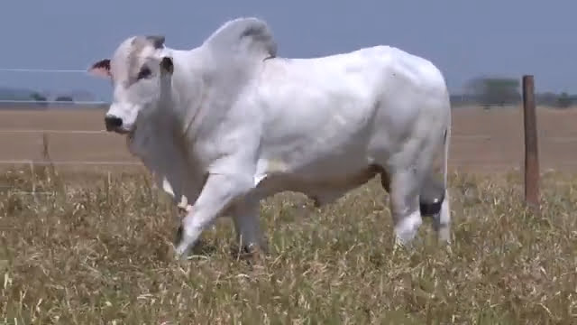 VS--YouTube-lote581001080p-0’04”