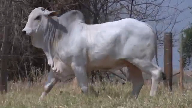 VS--YouTube-lote654781080p-0’01”