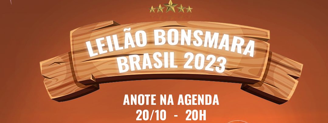 ABCB Bonsmara