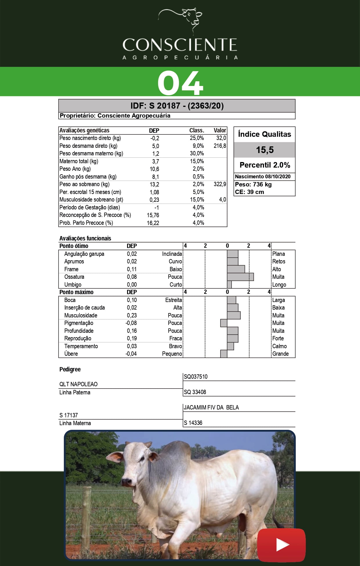 Catalogo 2 Leilão_page-0005