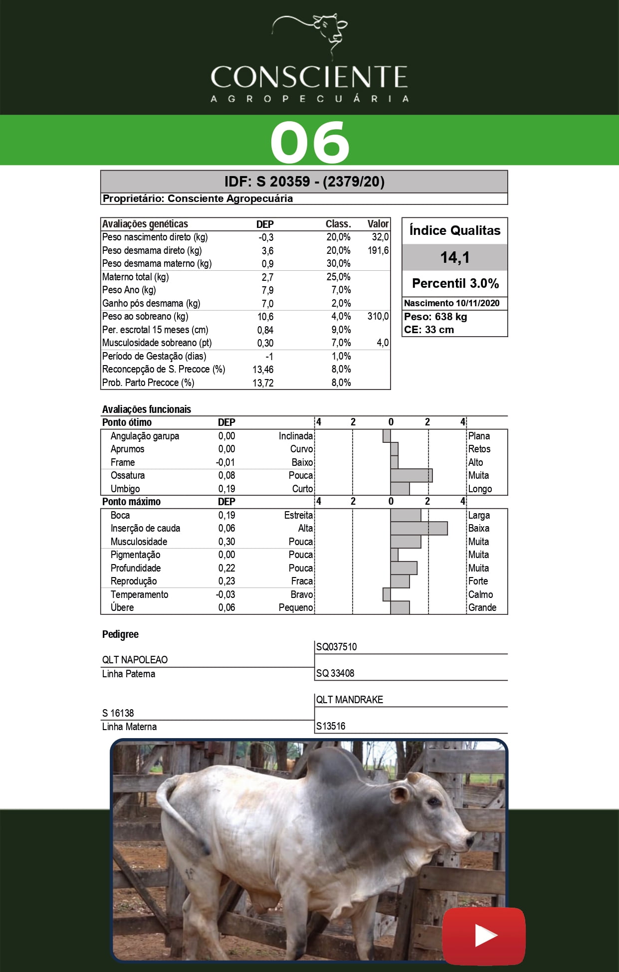 Catalogo 2 Leilão_page-0007