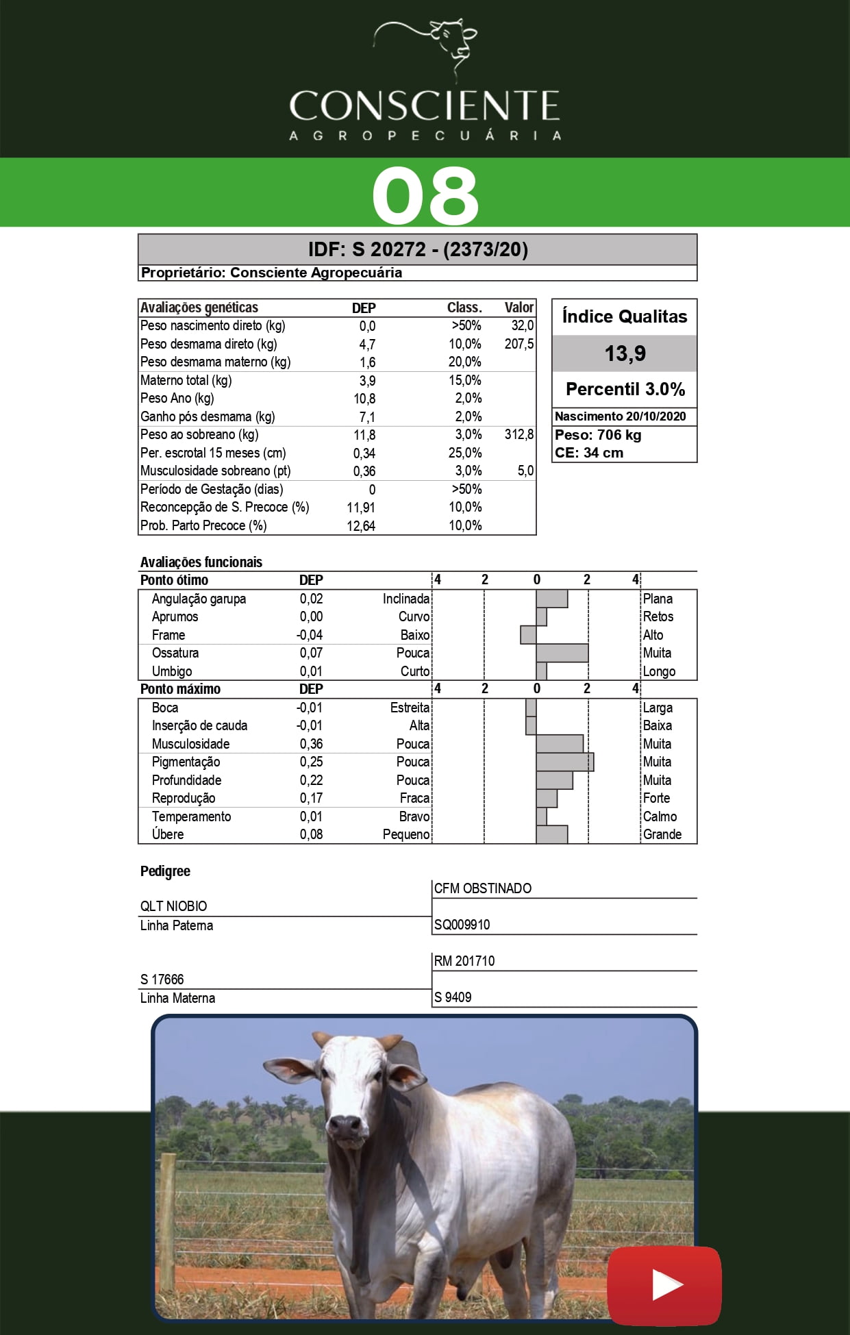 Catalogo 2 Leilão_page-0009