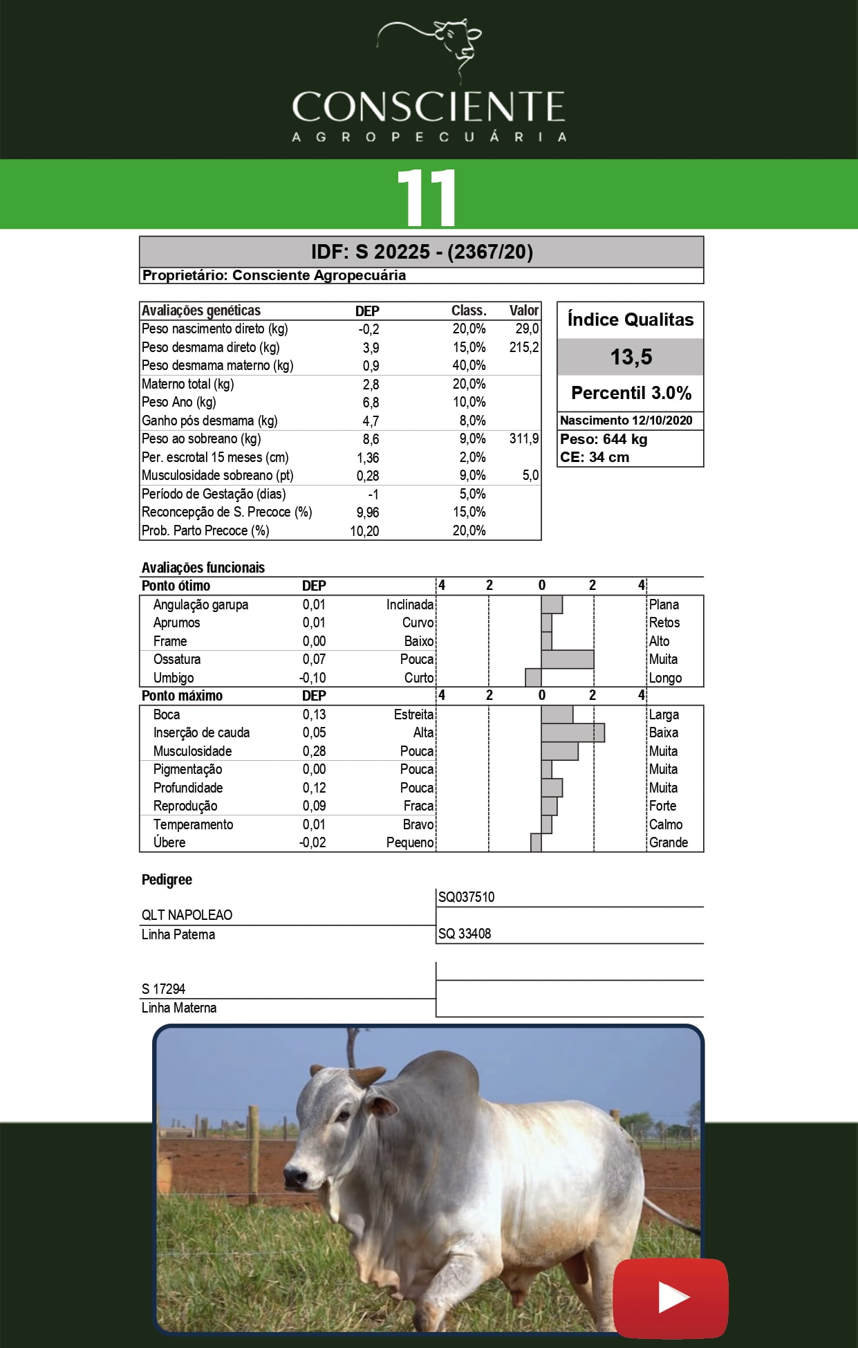 Catalogo 2 Leilão_page-0012