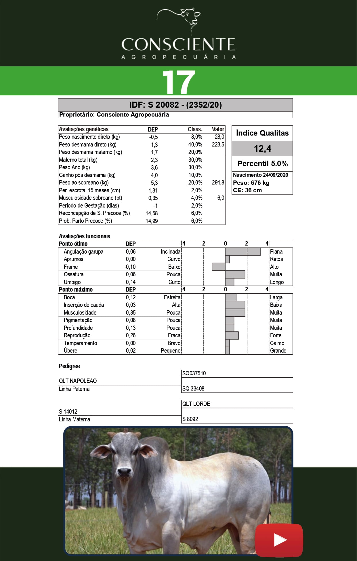 Catalogo 2 Leilão_page-0018