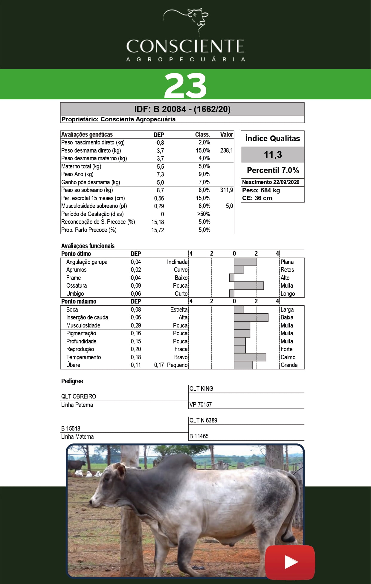 Catalogo 2 Leilão_page-0024