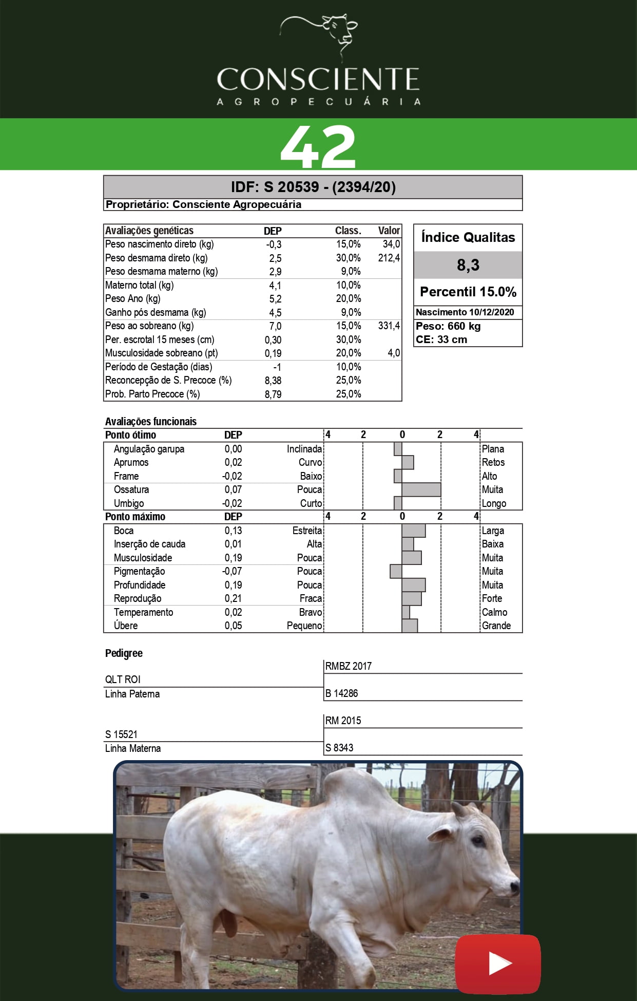 Catalogo 2 Leilão_page-0043