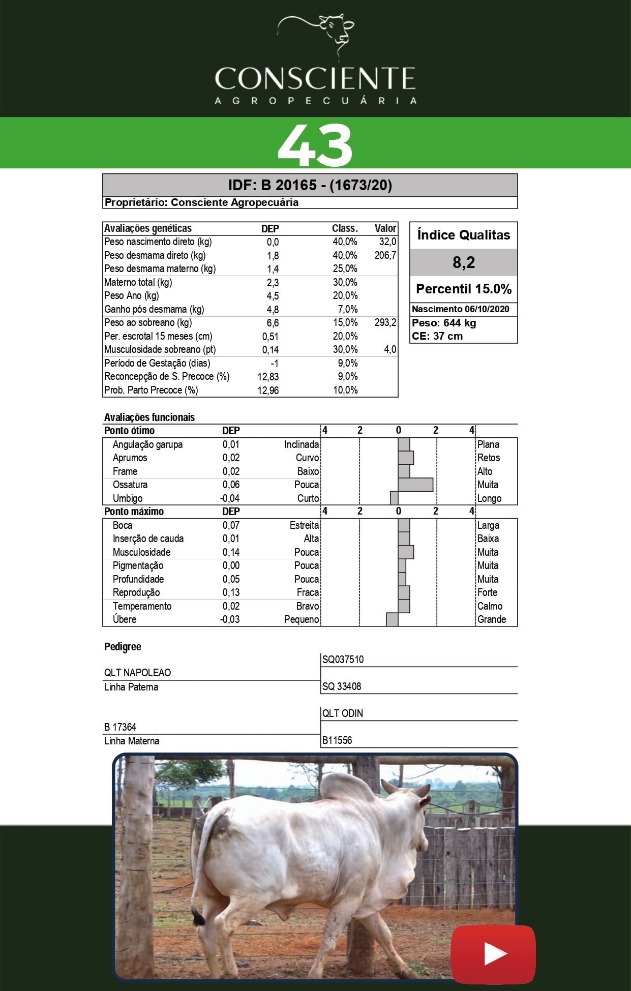 Catalogo 2 Leilão_page-0044