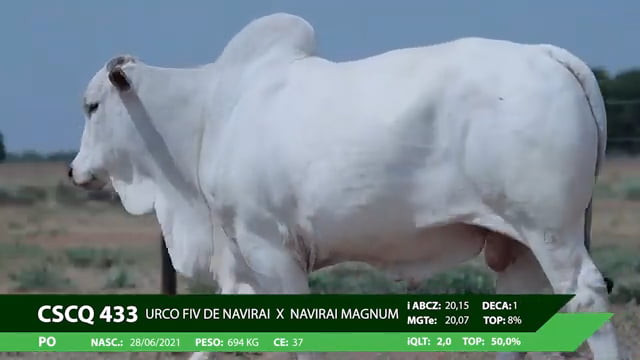 VS--YouTube-LOTE11CSCQ433-0’16”