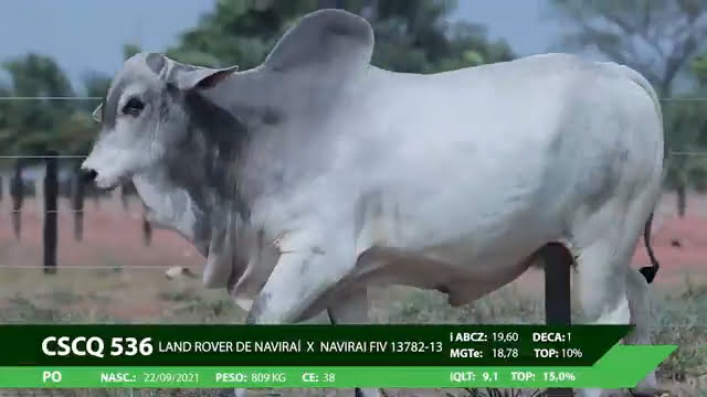 VS--YouTube-LOTE13CSCQ536-0’13”