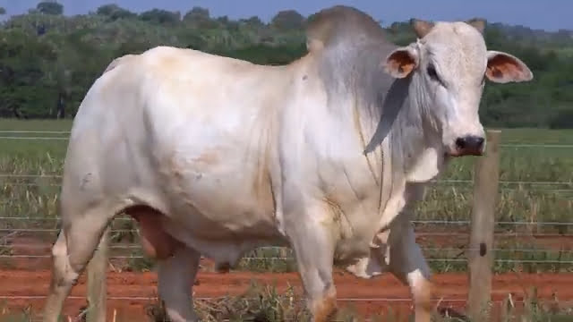 VS--YouTube-lote04s201871080p-0’00”