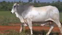 VS--YouTube-lote09b201031080p-0’02”