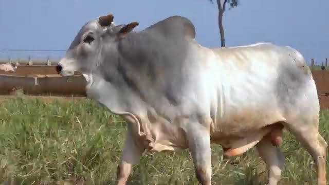 VS--YouTube-lote11s202251080p-0’01”