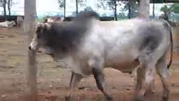 VS--YouTube-lote23b200841080p-0’06”