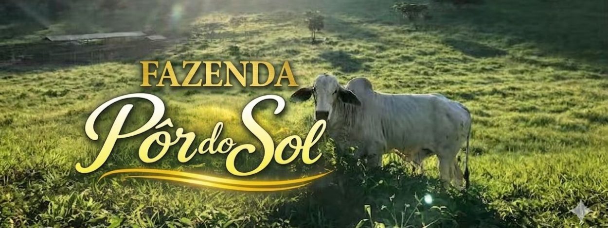 Fazenda por do sol