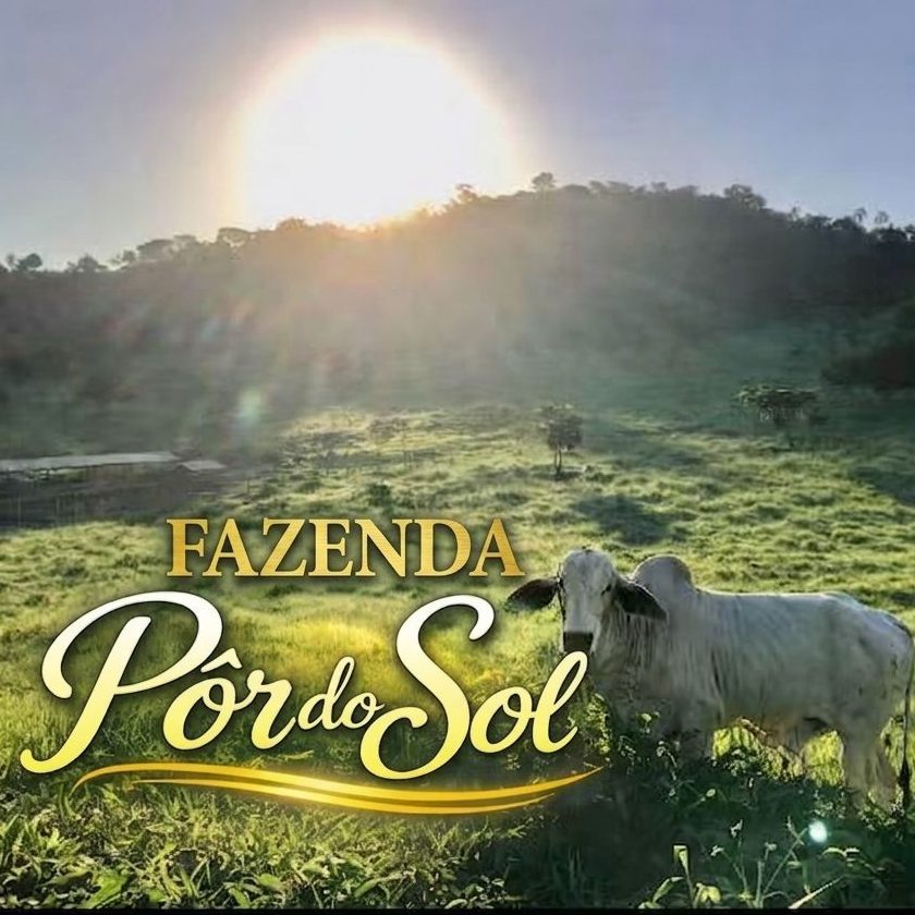 Fazenda por do sol