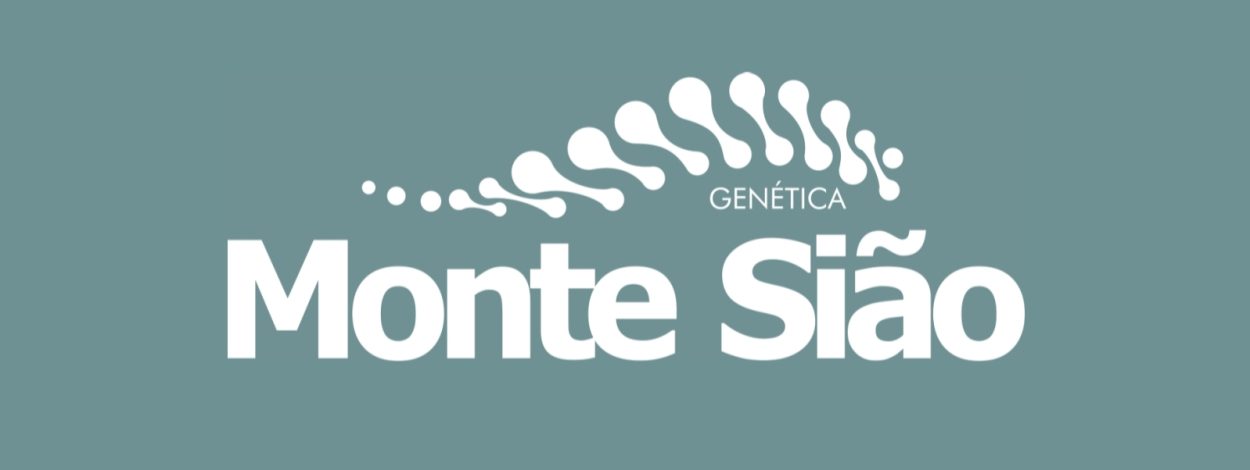 Zairo Monte Sião